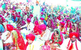 Newlywed couples after a mass marriage function at Tahli Sahib Gurdwara in Amritsar on Thursday