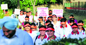 Activists take part in an awareness rally on World Blood Donation Day in Ludhiana on Thursday.