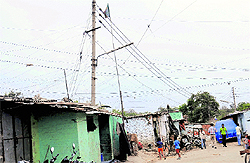 A view of kundi connections in Colony Number 4 of Chandigarh