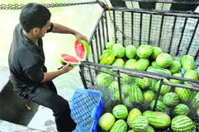 A vendor selling chilled water melon in Jammu on the bank of Ranvir canal