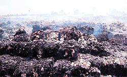 Raw material reduced to ashes at Khanna Paper Mill in Amritsar on Saturday