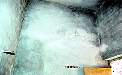 Cracks that have appeared in walls of houses near Khanna Paper Mill and the plaster which has been damaged due to the heat at Baba Deep Singh Colony in Amritsar