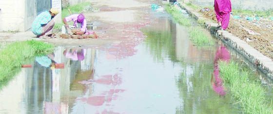 Sewage overflows on a street at Ward 1 in Amritsar. 
