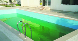 A swimming pool at the benami house of Rinpoche Gangkar at Chauntra.