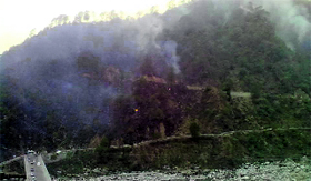 A pine forest near Sorabh Van Vihar in Palampur.