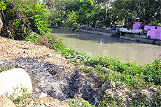 Garbage dumped on the banks of the Ranvir Canal near Shakti Nagar in Jammu. 