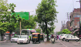 A view of a tree standing in the middle of a road leading to the bus stand.