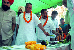 Members of the committee check out vegetables on display at village Mehma Sarja