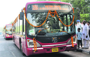 The CTU buses that started plying on the Metro route from Tuesday. 