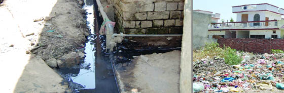 Poor condition of streets, open drains and garbage are other problems in these wards in Amritsar. 