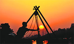 As the sets in the horizon, a man seems to be toiling hard to earn a living