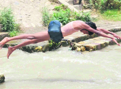 A boy takes a dive into the Ganga canal as temperatures broke the 44C mark in Haridwar on Thursday. Tribune photo: Rameshwar Gaur