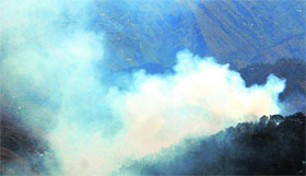 Smoke arises due to a forest fire near Shimla.
