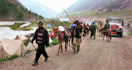 Ponywallas begin arriving at the Baltal base camp on Thursday.