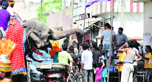 An elephant seeks water to quench its thirst during the Lord Jagannath Rath Yatra in Ludhiana on Thursday.