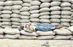 A labourer takes a nap on the stacked ACC cement sacks on the outskirts of Allahabad. Shares in Indian cement manufacturers tumbled in early trade on Friday after they were fined a combined US $1.1 billion for price fixing, even as many of them vowed to appeal the ruling by the nation's increasingly assertive anti-trust regulator.  Reuters
