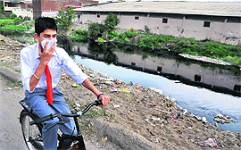 The Buddha Nullah near Kundan Puri that is virtually a garbage dump carries sewage and effluents from industry in Ludhiana. 