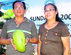 Largest mango