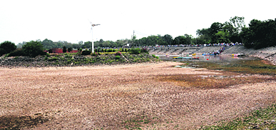 A view of the parched bed around the island at the Sukhna Lake in Chandigarh on Sunday.