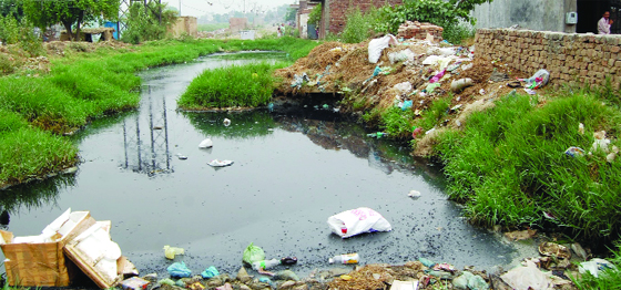 The choked drain in the Maqboolpura area poses a major health hazard for residents of Ward 32 in Amritsar