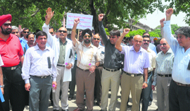 Doctors protest against the implementation of the Clinical Establishment Act at the Sector-17 Plaza in Chandigarh