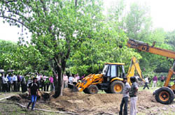 A Rudraksh tree, which had been planted by former Prime Minister, the late Indira Gandhi, and had been uprooted in a thunderstorm recently, being replanted at the Forest Research Institute in Dehradun on Monday. 