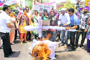 Members of the TET Union burn an effigy of the Punjab Government in Jalandhar on Monday.