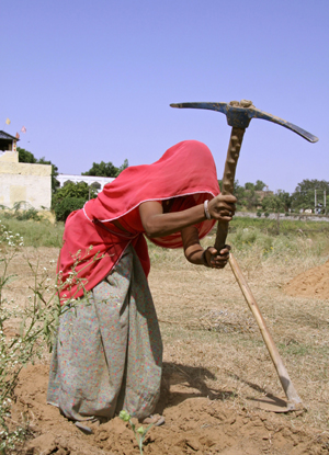 South Asia's labour markets face deep-rooted structural challenges, such as the highest share of vulnerable employment among all developing regions and widespread youth unemployment.