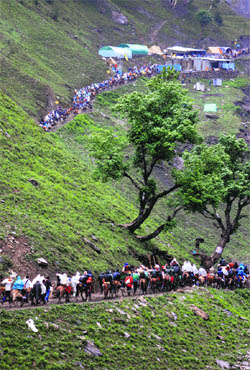 Devotees walk towards the Amarnath cave shrine, 130 km south of Srinagar, on Tuesday. 