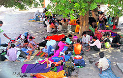 Passengers forced to wait under a tree due to shortage of seating arrangement