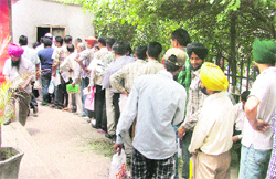 Applicants queue up in the scorching heat outside the District Transport Office in Ludhiana. Photos: Inderjeet Verma