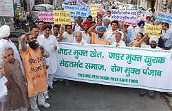 Volunteers of the Kheti Virasat Mission and the Bathinda Association of NGOs take out an awareness march raising the issue of ill-effects of pesticides in food. The campaign is steered by the ASHA (Alliance for Sustainable & Holistic Agriculture