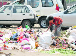 A boy sifts through garbage in Jammu.