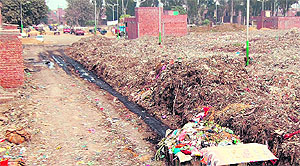 A garbage-filled road at Bhaktanwala in Amritsar