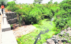 Sewage flows in the Sukhna Lake diversion channel, near Kaimbwala village, which finally merges in the lake. The forest department had identified this polluted water as a major source of weeds in the lake.