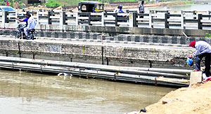 A person throws puja material into the Sidhwan Canal in Ludhiana