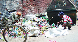 Councillors also want proper lifting of garbage in their wards in Amritsar
