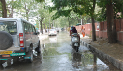 A choked sewer results in sewage spilling on to a road near the District Administrative Complex in Bathinda. A Tribune photograph