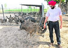  Parwinder Singh