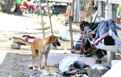The homeless passing through rough time in the scorching heat in Ludhiana. Tribune photo: Himanshu Mahajan