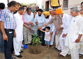 Chief Parliamentary Secretary Sarup Singla planting a sapling to mark the Green Punjab campaign launched by Chief Minister Parkash Singh Badal in Fazilka on Sunday