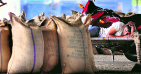 A labourer takes rest at Dana Mandi in Ludhiana.