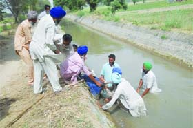 Farmers desilting a canal to facilitate the smooth flow of water near Dyalpura village