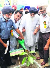 Parkash Singh Badal, CM, and Forest Minister Surjit Kumar Jyani plant a sapling in Fazilka on Sunday