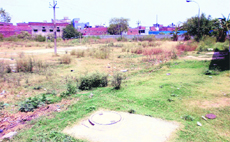 The vacant area where the health department aims to plant trees. 