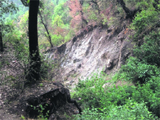 The members of the garden welfare association rued the fact that due to the apathy of the Forest and Disaster Management departments and the Municipal Council the situation in the Company Garden area had become serious due to frequent landslides.