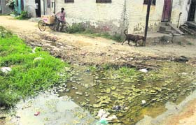 A street in New Rajan locality clogged with sewage