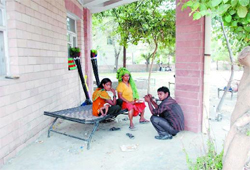 One of the families rendered homeless by the demolition drive in Prajapat Colony, saves itself from the scorching sun by seeking shelter on the premises of the Bathinda Improvement Trust Office on Friday. 