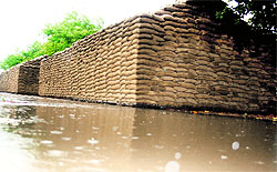 Foodgrains stacked in the open at the Rohtak grain market got wet after the first monsoon showers on Friday