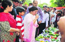 Geeta Bhukkal, Haryana Education Minister, visits stalls